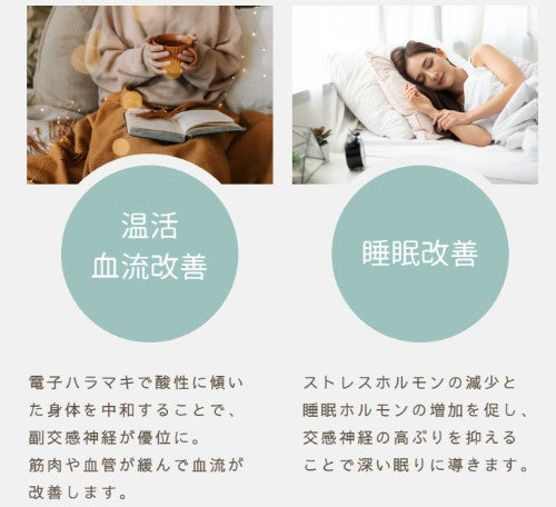 DSG 電子ハラマキ
