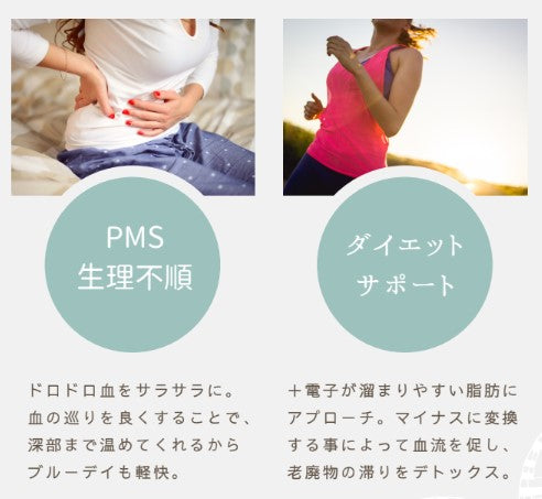 DSG 電子ハラマキ