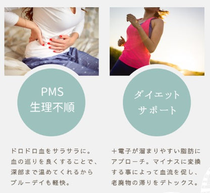 DSG 電子ハラマキ