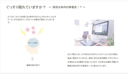 DSG 電子ハラマキ